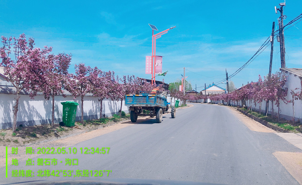 美麗鄉村